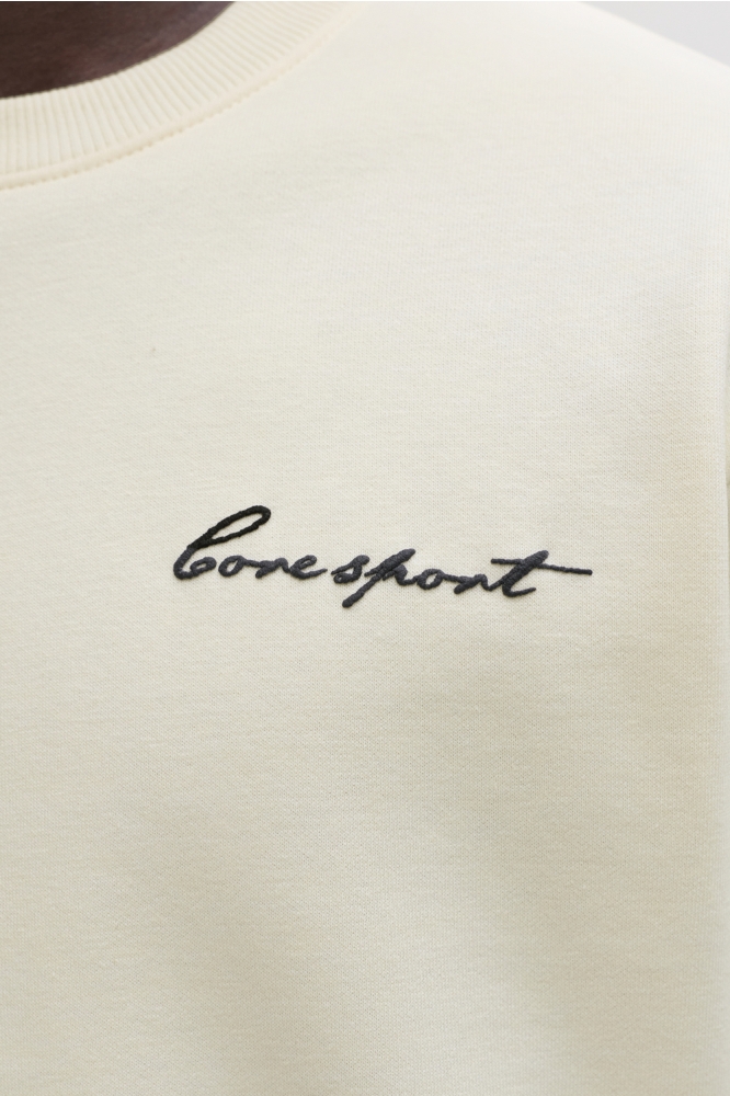 Jack & Jones beige heren sweater | Close up