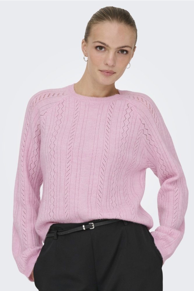 Jacqueline de Yong roze dames trui | Model vooraanzicht