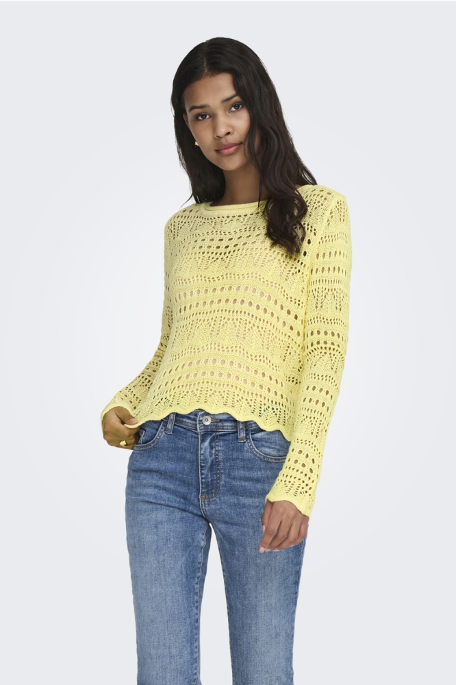 Jacqueline de Yong gele dames trui | 