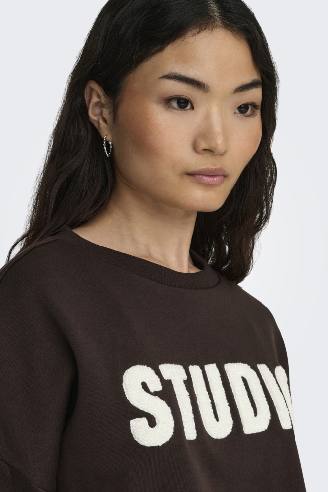 Only bruine dames sweater | Close up