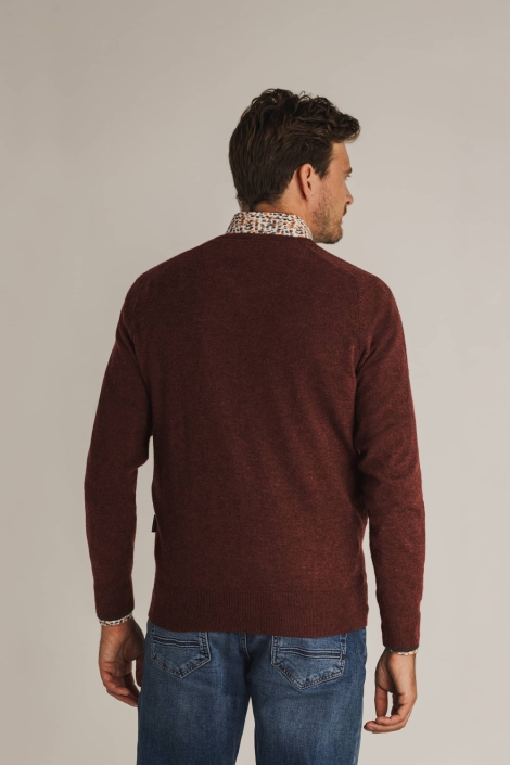 State of Art bruine heren trui | Model achteraanzicht