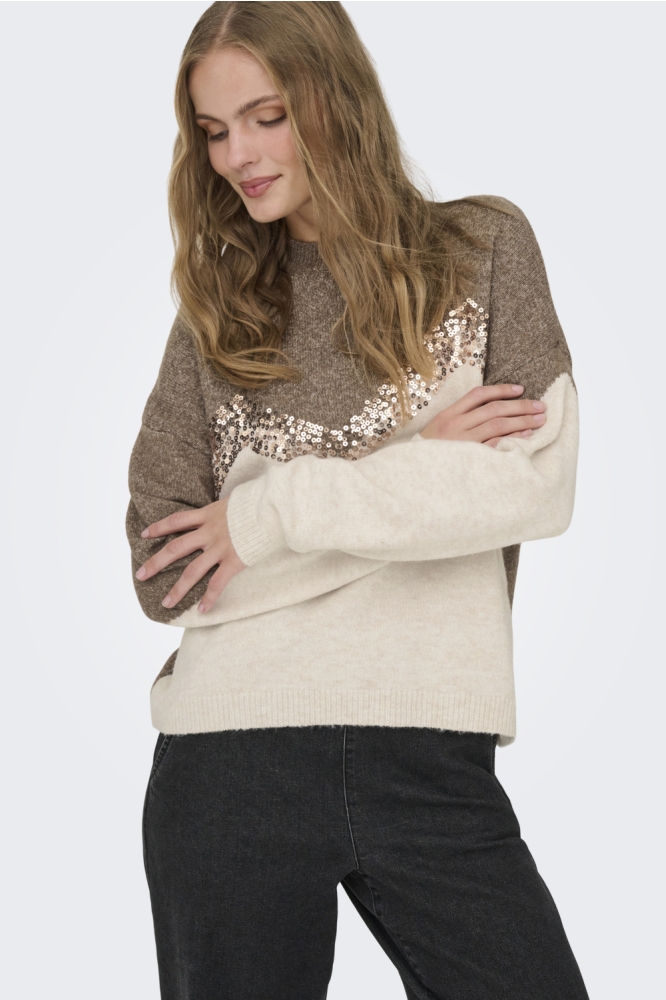 Jacqueline de Yong zand dames trui | Model vooraanzicht
