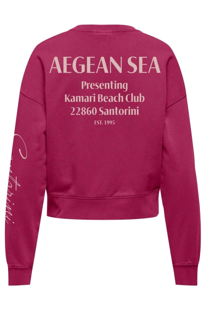 Only roze dames sweater | Achteraanzicht