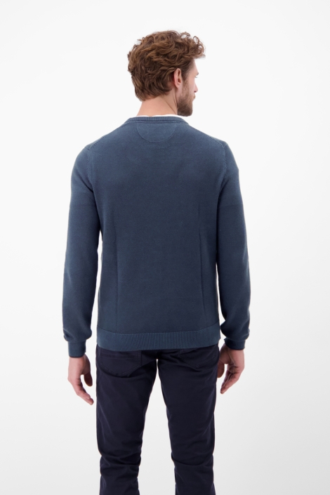 Lerros blauwe heren trui | Model achteraanzicht