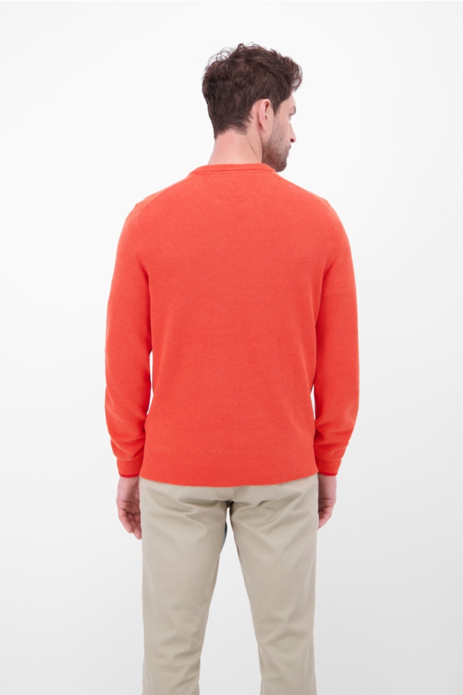 Lerros oranje heren trui | Model achteraanzicht