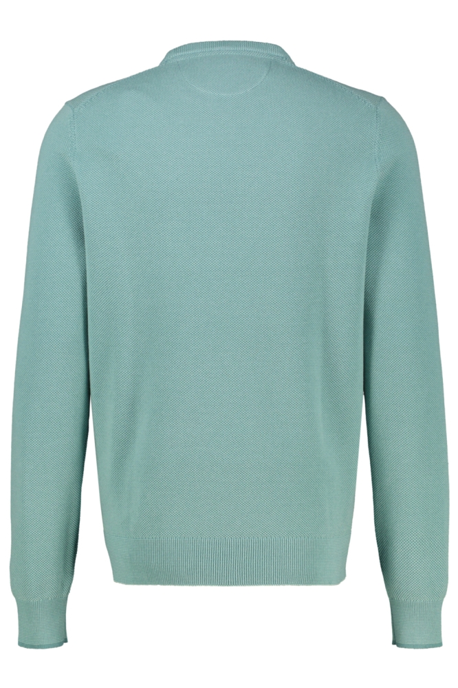 Lerros groene heren trui | Achteraanzicht