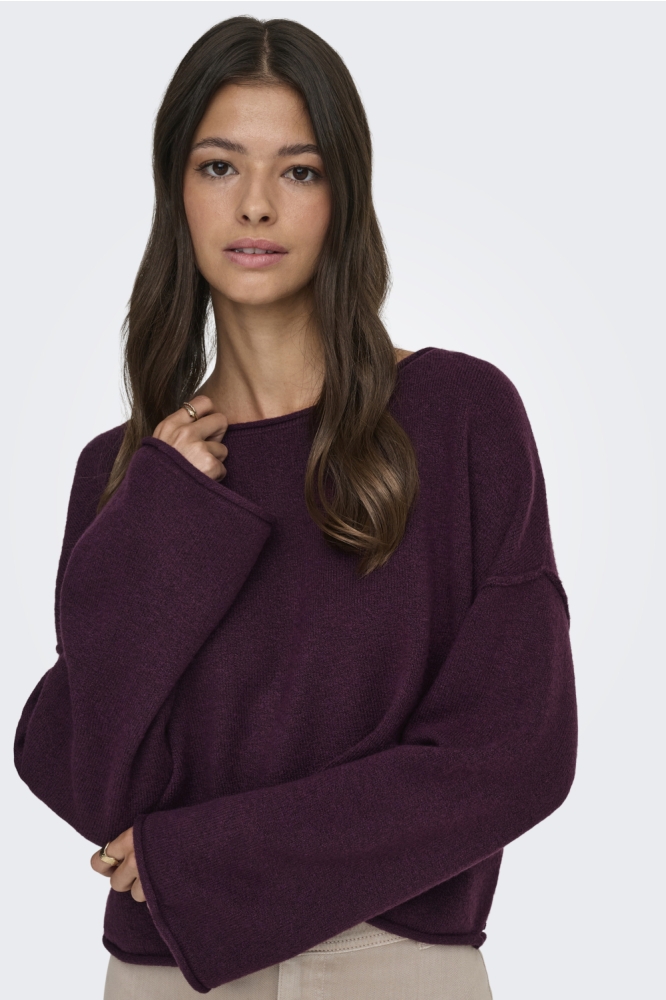 Jacqueline de Yong bordeaux dames trui | Model vooraanzicht