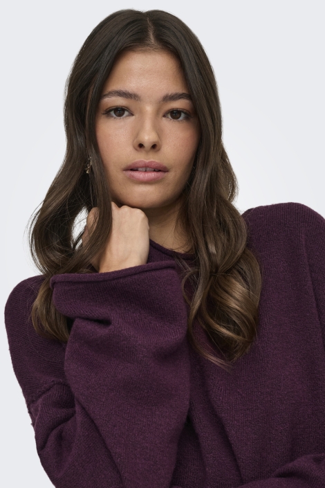 Jacqueline de Yong bordeaux dames trui | Close up