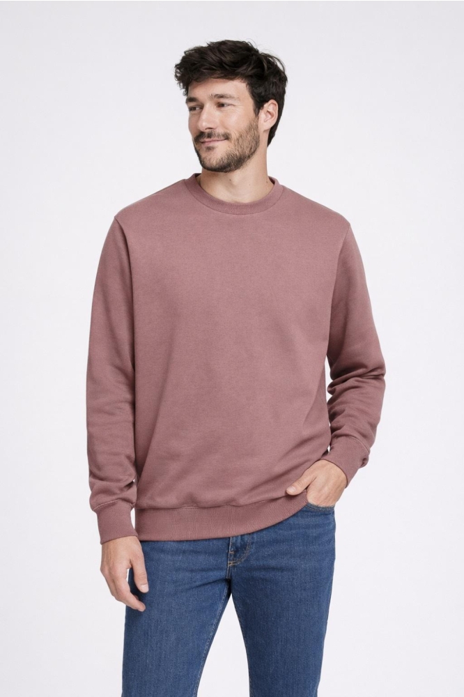 Only & Sons roze heren sweater | Model