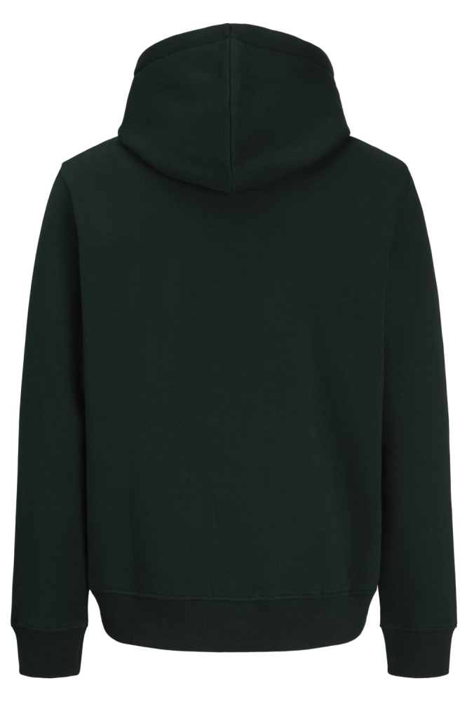 Jack & Jones groene heren sweater | Achteraanzicht