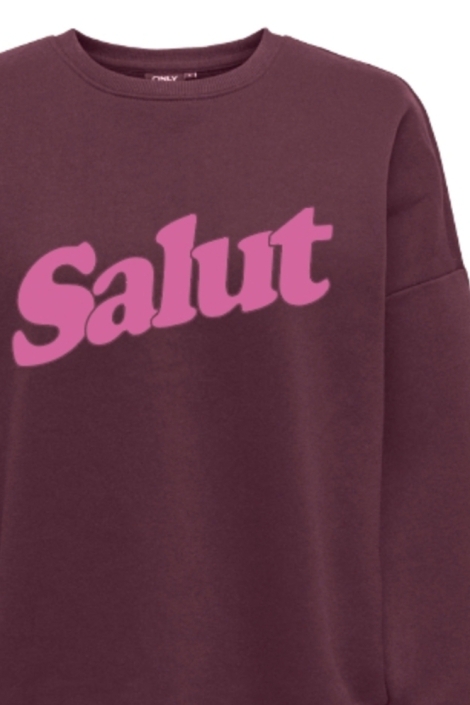 Only bordeaux dames sweater | Close up