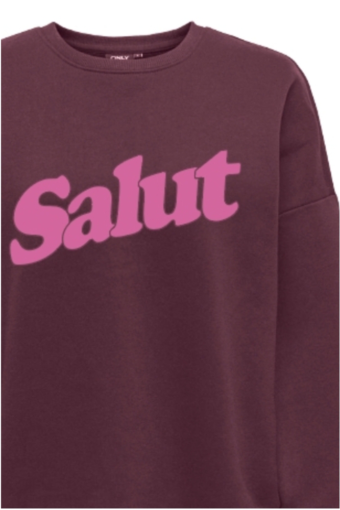 Only bordeaux dames sweater | Close up