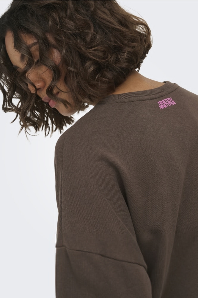 Only bruine dames sweater | Kleurstaal