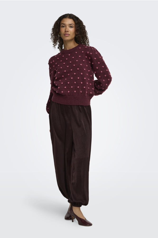 Jacqueline de Yong bordeaux dames trui | Model vooraanzicht