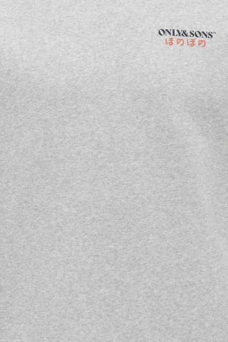 Only & Sons grijze heren sweater | Kleurstaal