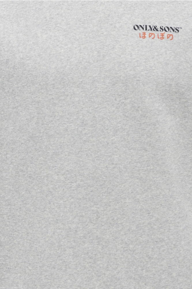 Only & Sons grijze heren sweater | Kleurstaal