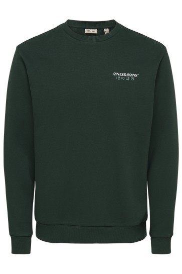Only & Sons Trui ONSCERES SONS REG LS CREW NECK 22039540 PINE GROVE/ABSTRACT