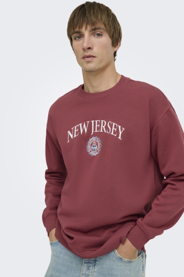 Only & Sons Trui ONSCONNOR COLLEGE RLX LS CREW NECK 22039545 BURNT RUSSET/NEW JERSEY