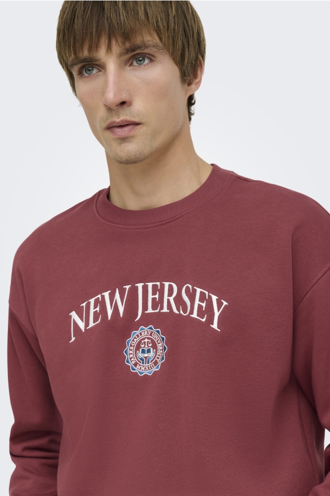 Only & Sons bordeaux heren sweater | Close up