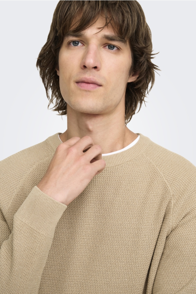 Only & Sons beige heren trui | Close up