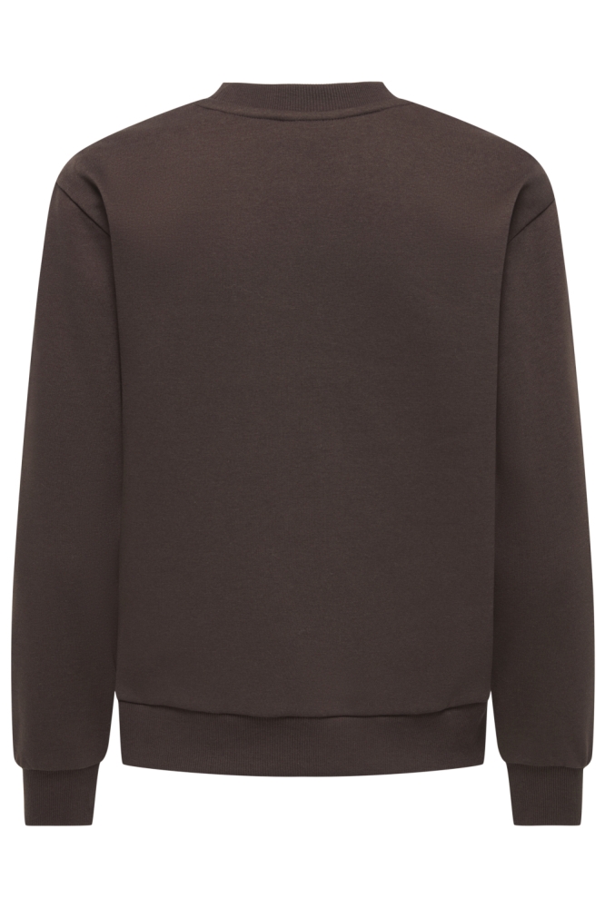 Jacqueline de Yong bruine dames sweater | Achteraanzicht