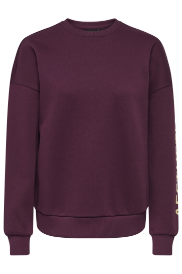 Only sweater ONLZENJA BOXY L/S BOX PRI CS SWT 15365859 Fig/Aesthetic