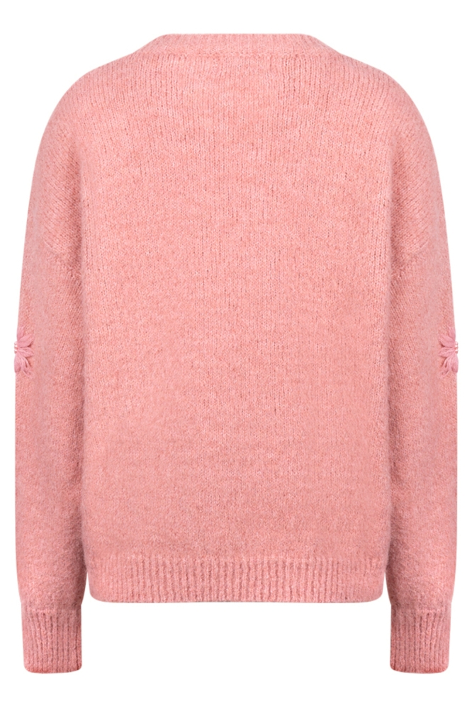 Nukus roze dames trui | Achteraanzicht