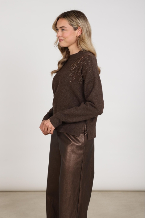 Nukus bruine dames sweater | Model zijaanzicht