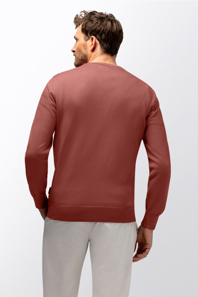 State of Art oranje heren trui | Model achteraanzicht