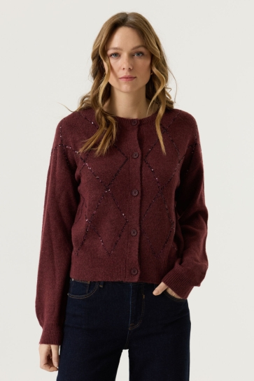 Garcia Vest VEST MET PAILLETTEN V260251 ROSEWOOD