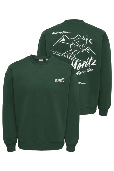 Only & Sons sweater ONSBEJMO MORITS RLX LS CREW NECK 22040038 PINE GROVE/ ST MORITZ