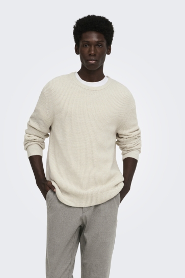 Only & Sons Trui ONSJONAS REG CREW NECK KNIT 22039894 Egret/SILVER LIN