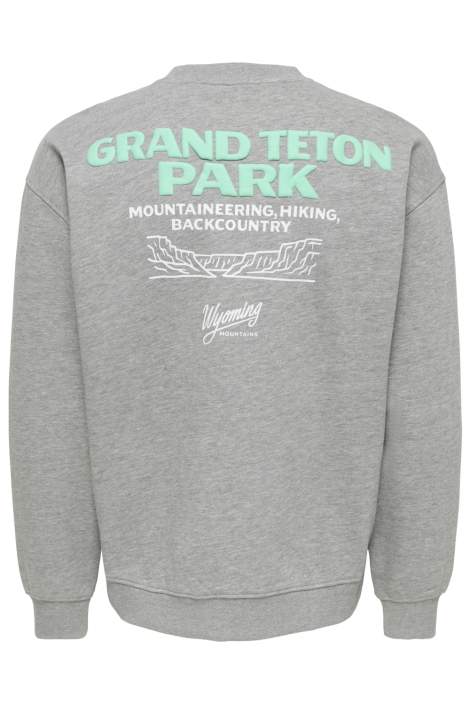 Only & Sons grijze heren sweater | Achteraanzicht