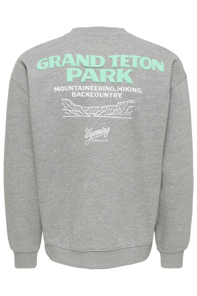Only & Sons grijze heren sweater | Achteraanzicht
