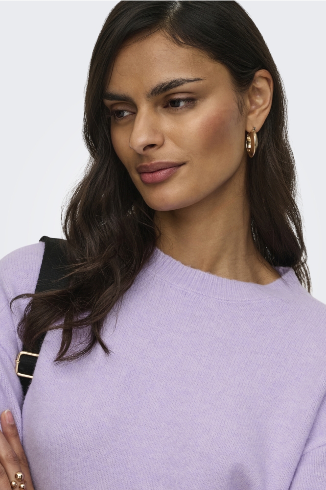 Jacqueline de Yong paarse dames trui | Close up