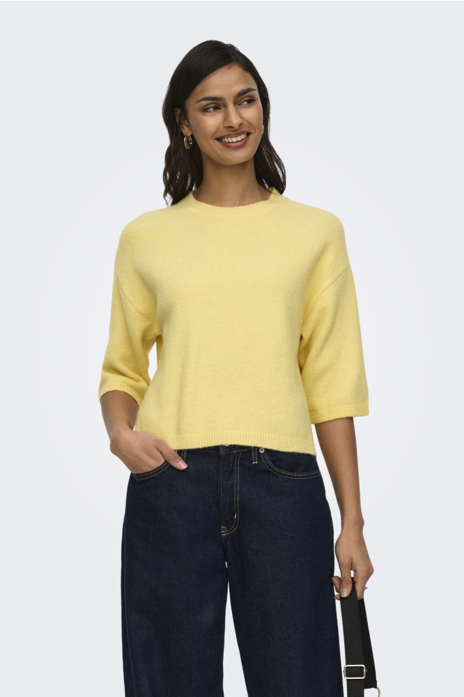 Jacqueline de Yong gele dames trui | Model vooraanzicht