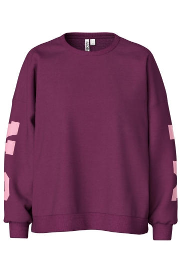 Pieces pcfany ls o-neck oversized sweat jr Paars