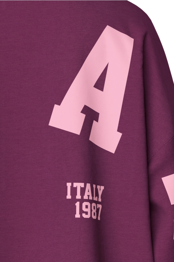 Pieces paarse dames sweater | Close up