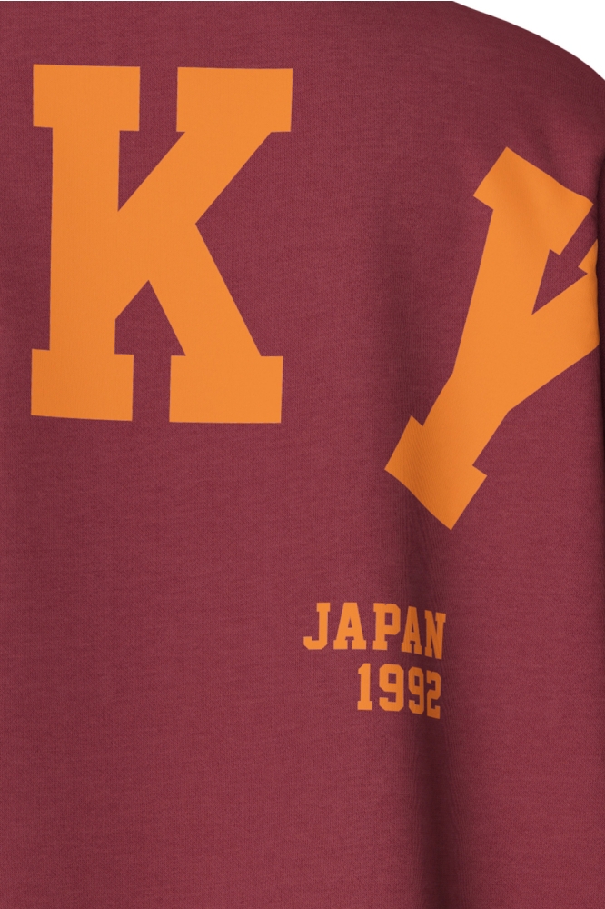 Pieces bordeaux dames sweater | Close up