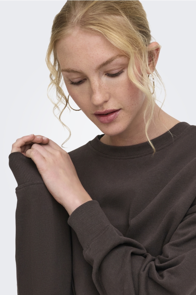Only bruine dames sweater | Close up