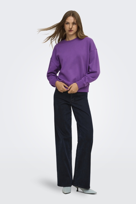 Only paarse dames sweater | Model