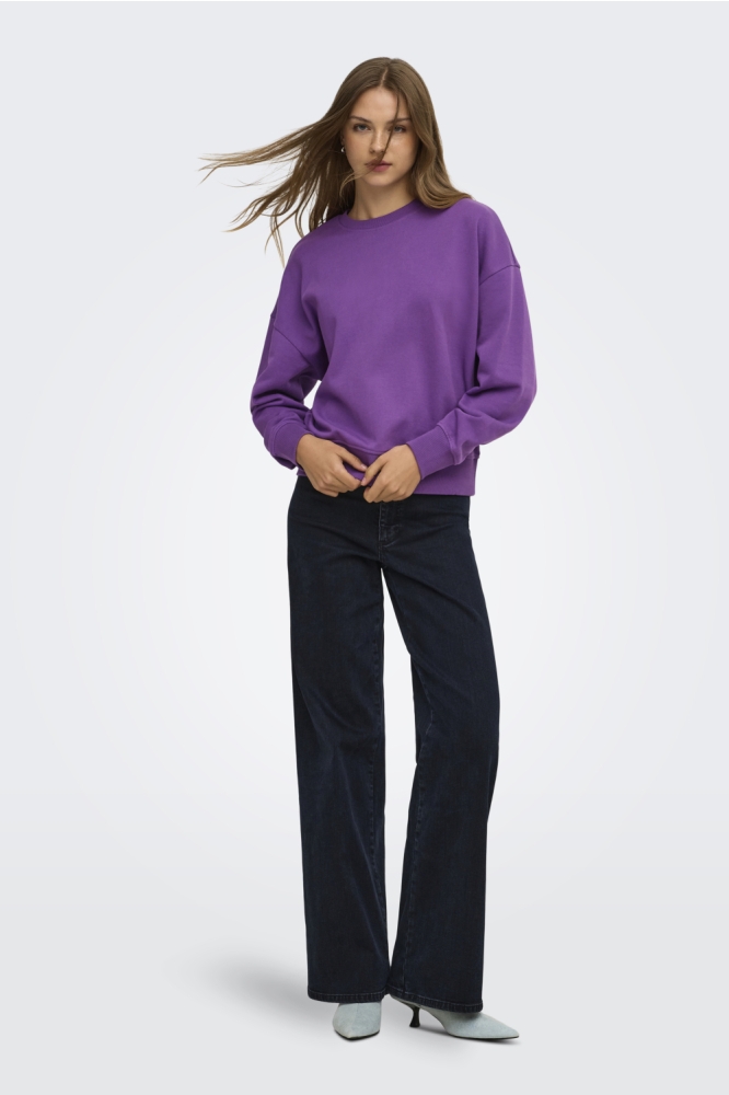 Only paarse dames sweater | Model
