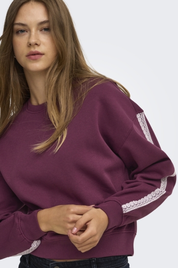 Only onlbeauty l/s crew neck cs swt Bordeaux
