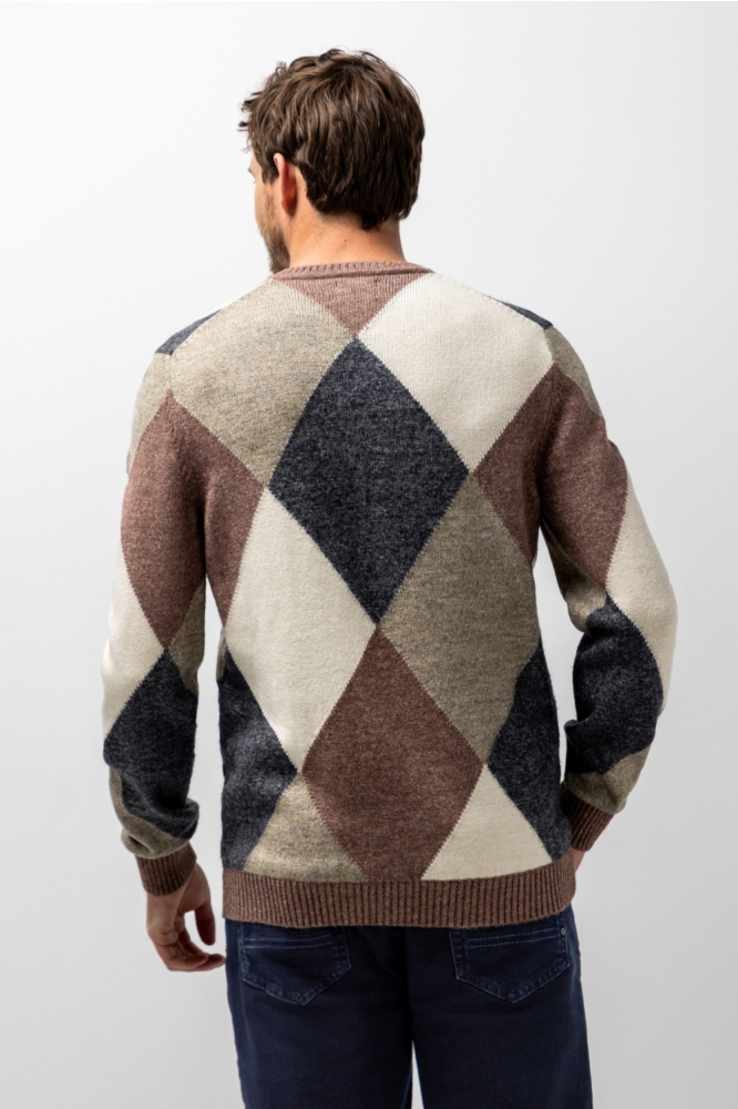 State of Art multi color heren trui | Model achteraanzicht