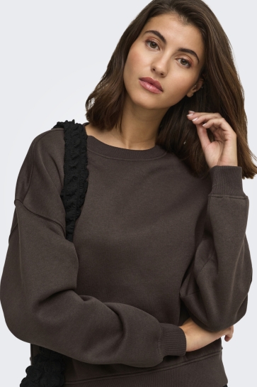 Only Trui ONLHAPPY L/S CREW NECK SWT 15391625 Coffee Bean