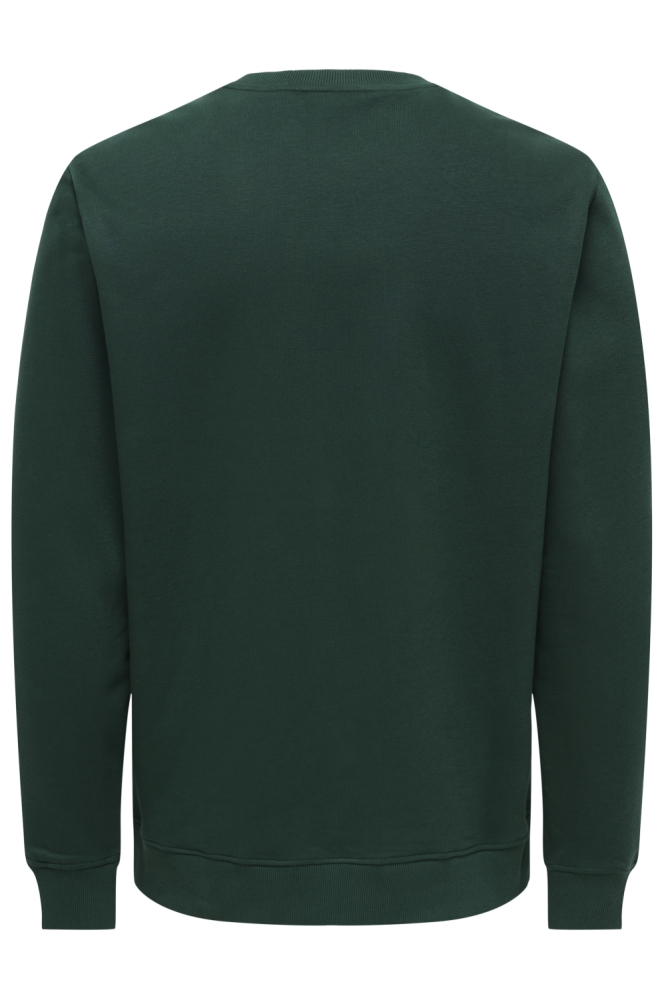 Only & Sons groene heren sweater | Achteraanzicht