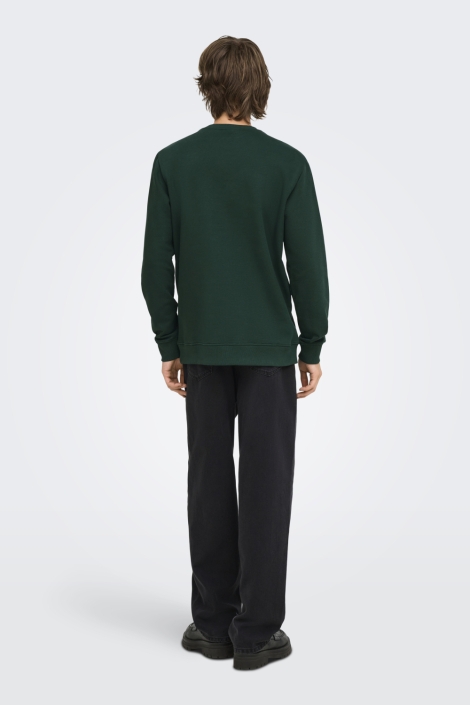 Only & Sons groene heren sweater | Model