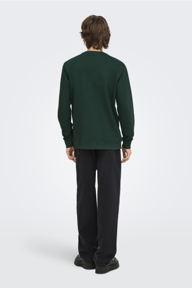Only & Sons groene heren sweater | Model