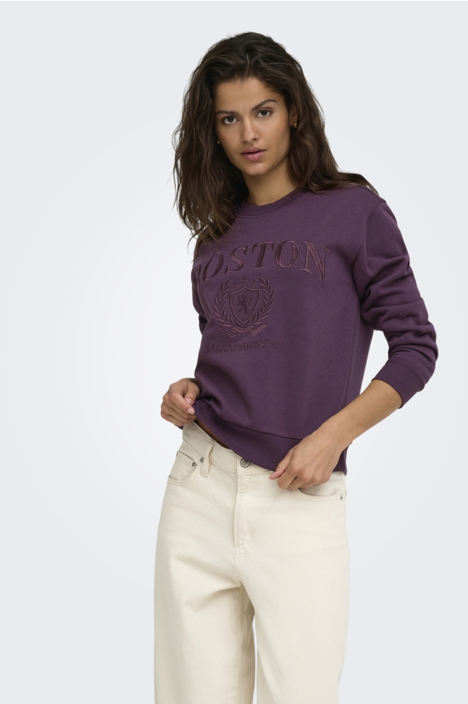 Jacqueline de Yong paarse dames sweater | Model vooraanzicht