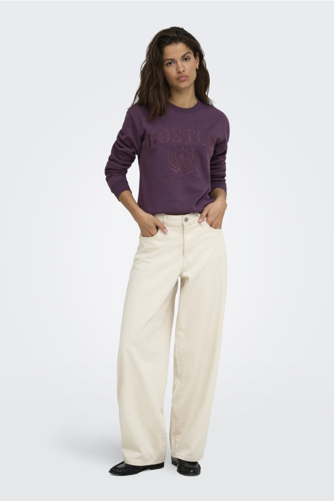 Jacqueline de Yong paarse dames sweater | Model